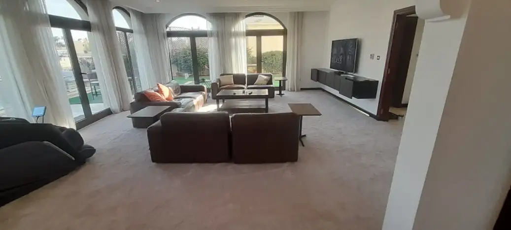 Patterned Carpets